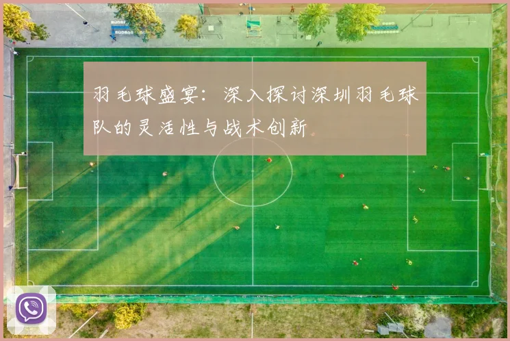 羽毛球盛宴：深入探讨深圳羽毛球队的灵活性与战术创新